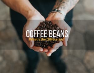 Coffee Beans: Arabica vs. Robusta—What’s the Difference?